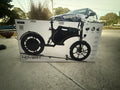 Hover-1 ZYP Foldable Electric Bike